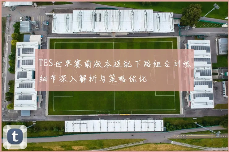 TES世界赛前版本适配下路组合训练细节深入解析与策略优化