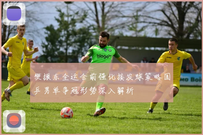 樊振东全运会前强化接发球策略国乒男单争冠形势深入解析